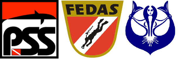pss -fedas - cmas